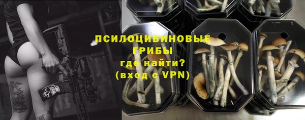 ГАЛЛЮЦИНОГЕННЫЕ ГРИБЫ Аркадак