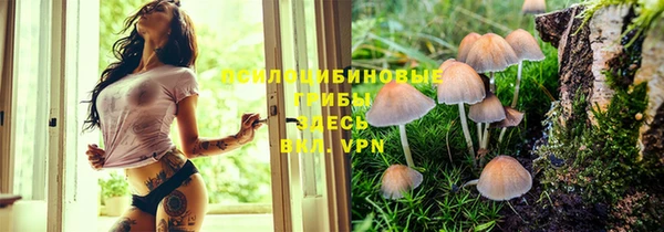 меф Армянск