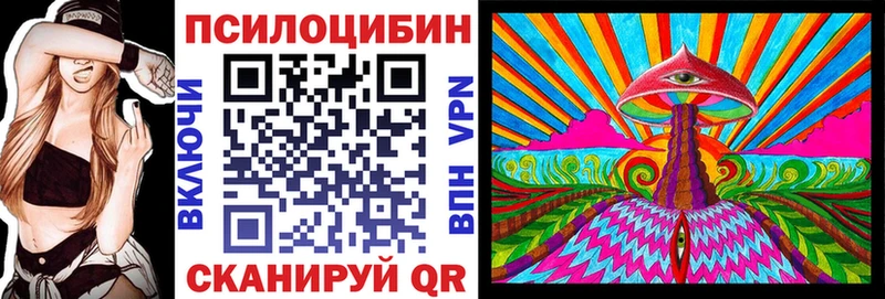 Купить  Бирюсинск  Галлюциногенные грибы GOLDEN TEACHER 